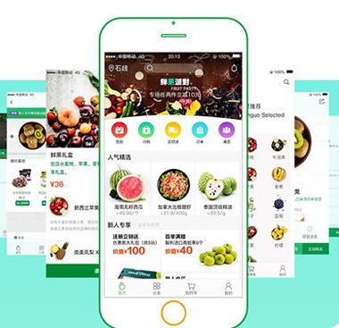 烟台网站开发的专家浅谈生鲜电商app开发的模式